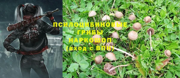 дмт Липки