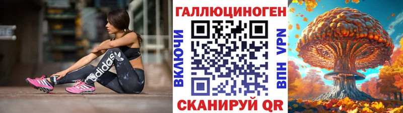 Псилоцибиновые грибы Psilocybe  Купить закладки  Алзамай 
