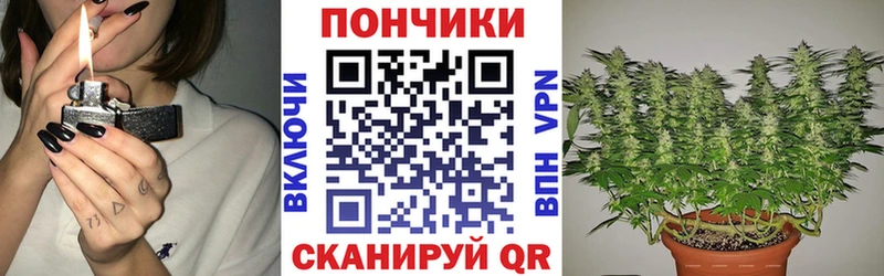 Бошки марихуана сатива  Купить  Алзамай 